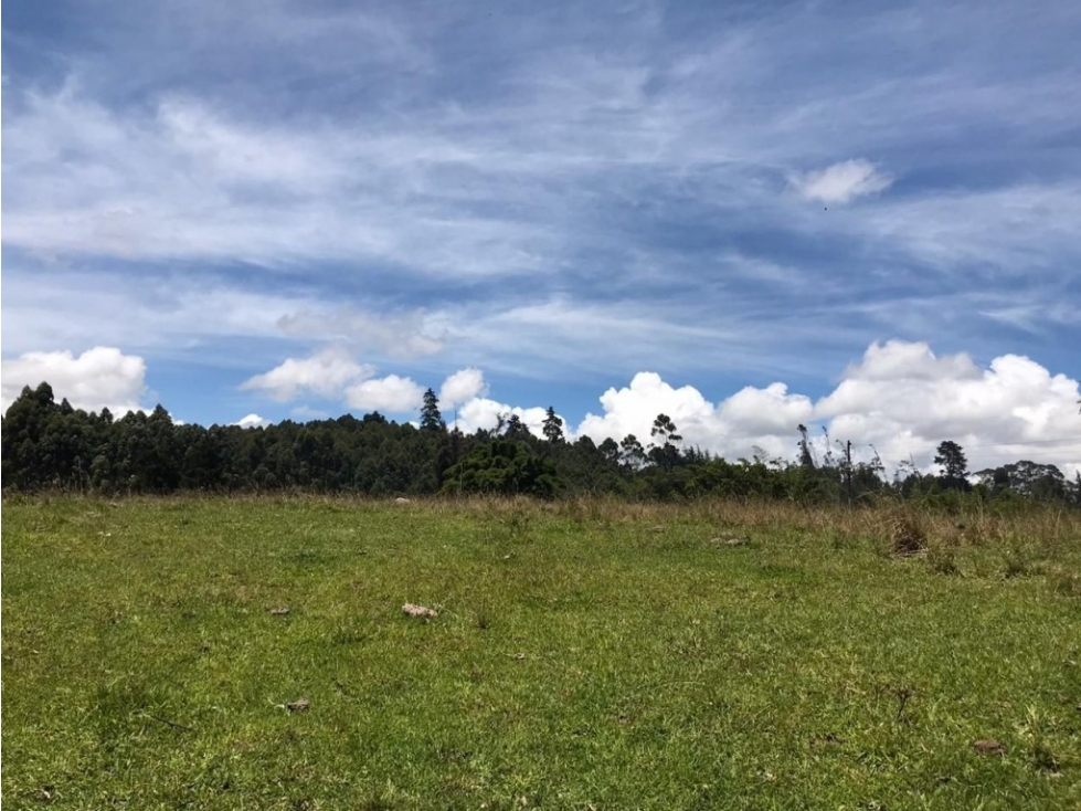 Lote industrial para Venta en Marinilla - El Tranvía — foto 5
