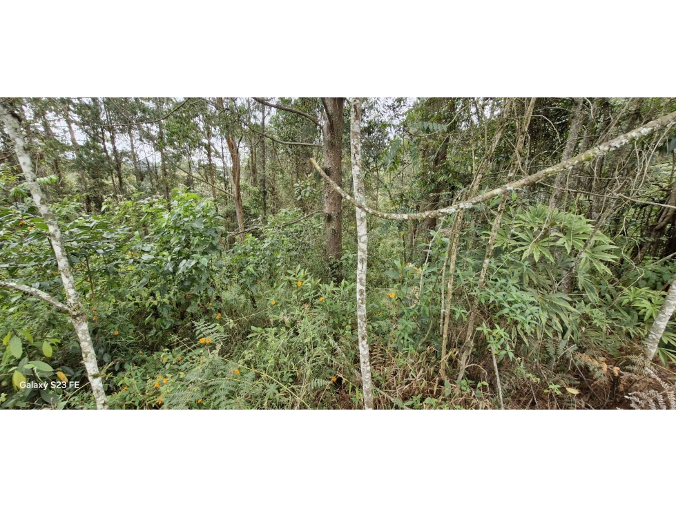 Lote para venta en Rionegro - La Convención — foto 6