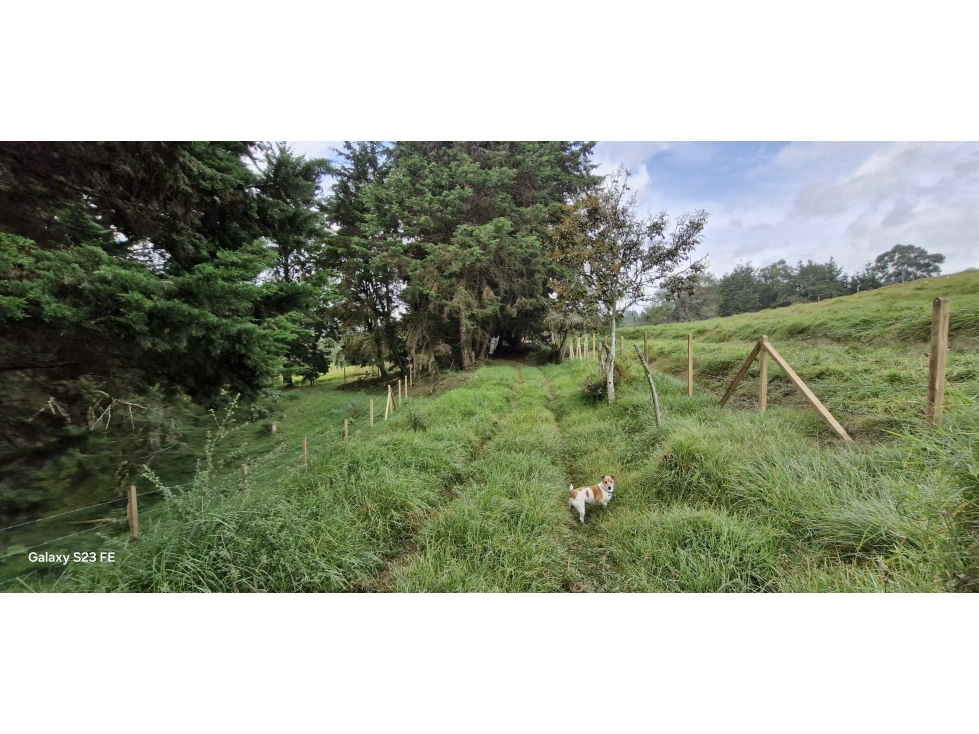 Lote para venta en Rionegro - Aeropuerto — foto 4