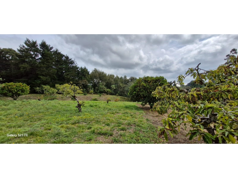 Lote para venta en Rionegro - Aeropuerto — foto 3