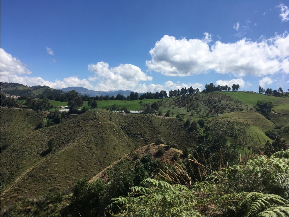 Finca de trabajo para venta en Abejorral - 5