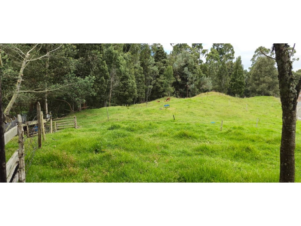 Lote en parcelación para venta en Envigado — foto 5
