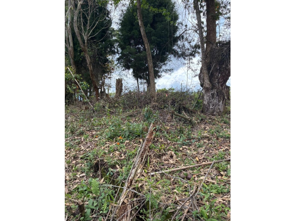 Lote independiente para venta en Rionegro — foto 6
