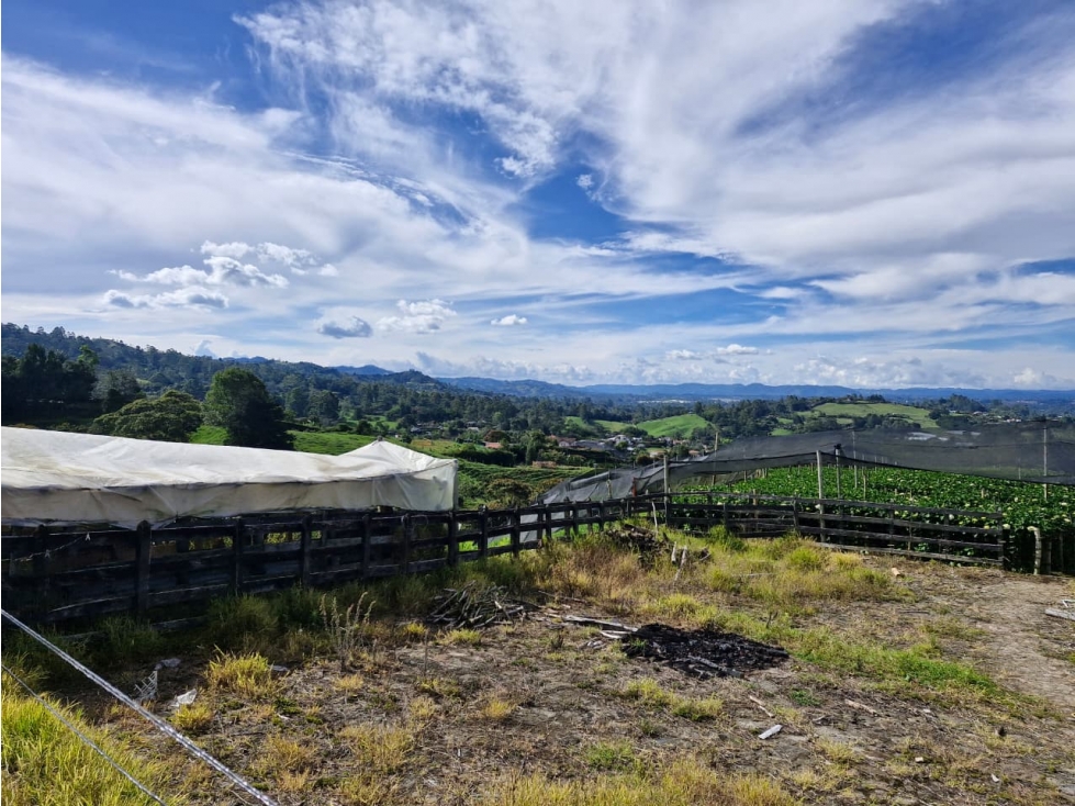 Lote para desarrollo en venta en Rionegro - Sector Pontezuela — foto 6