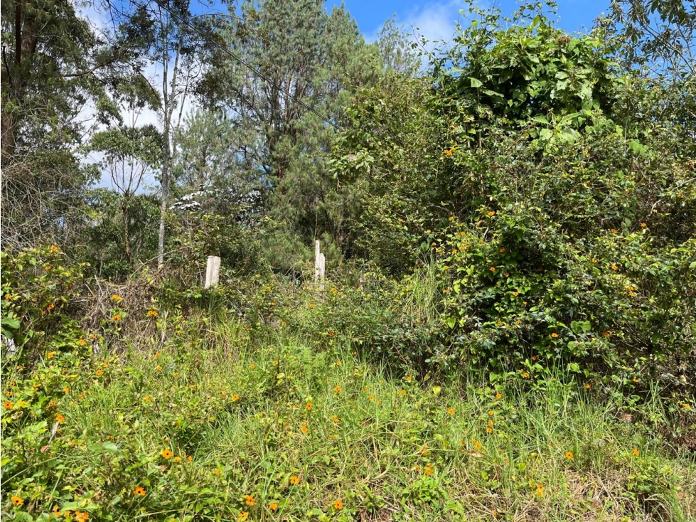 Lote independiente para venta en Rionegro — foto 4