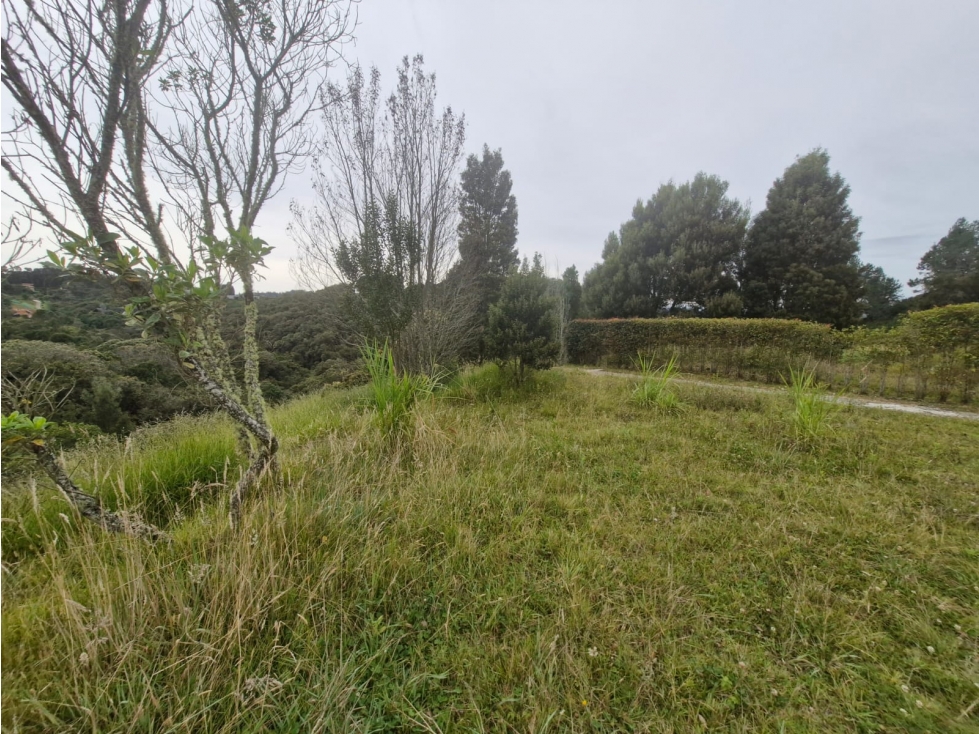 Lote Para Venta En Envigado - Alto De Las Palmas - 1