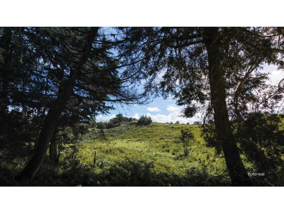 Lote en parcelación para venta en El Carmen de Viboral - Rural — foto 6