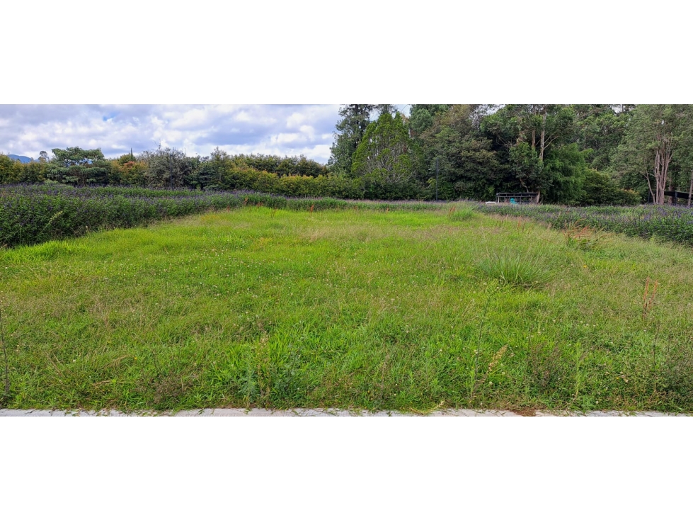 Lote en parcelación para Venta en Rionegro - Rural — foto 6