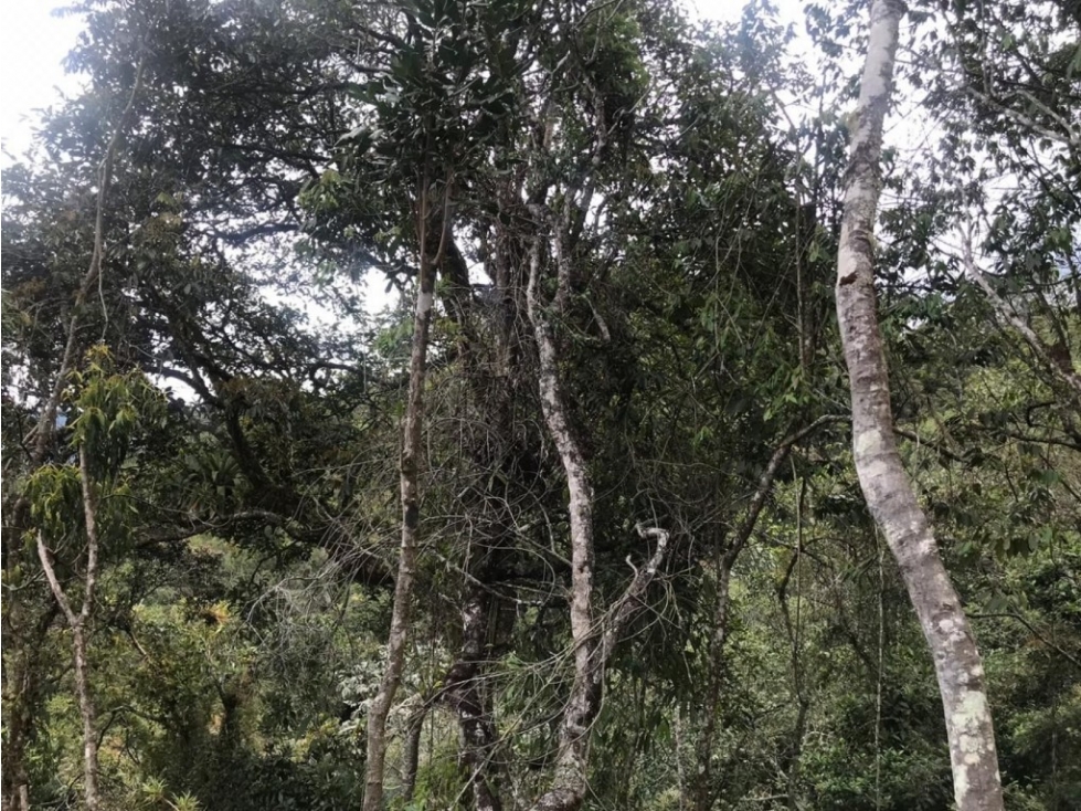 Lote en Venta en El Retiro - El Salado — foto 6