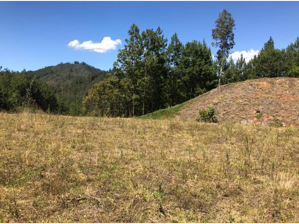 Lote en parcelación para Venta en El Retiro - Rural — foto 2