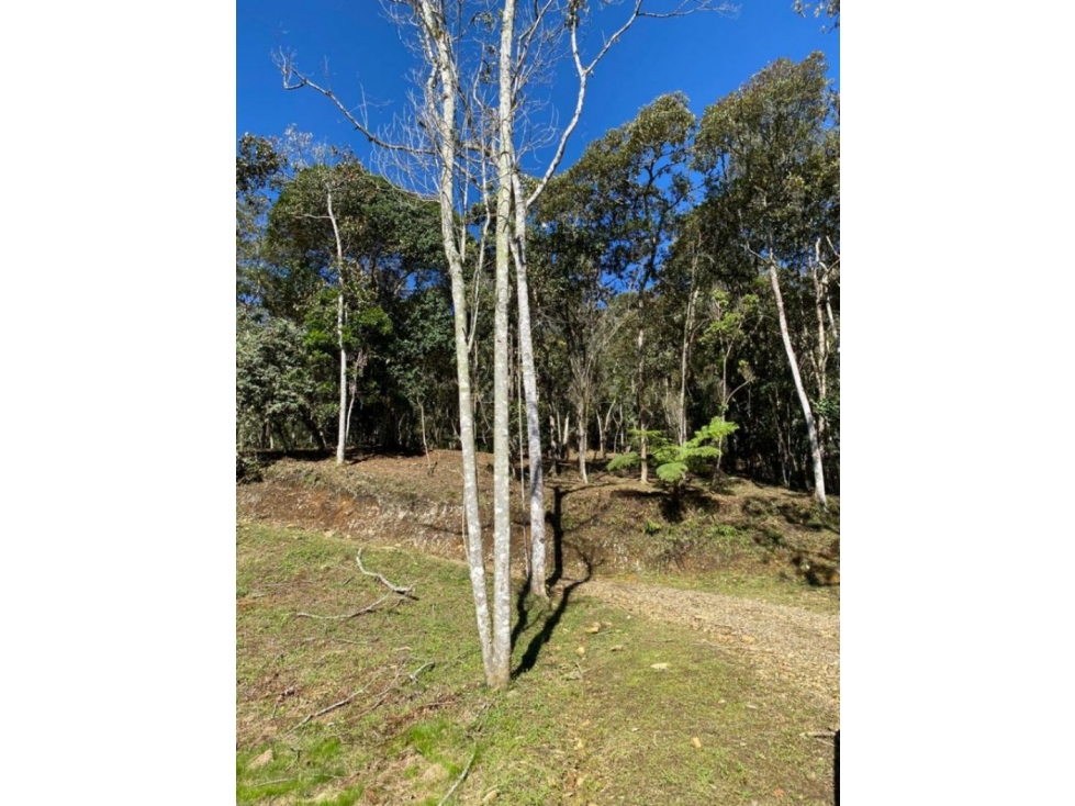 Lote en Venta en Guarne - La Honda — foto 5