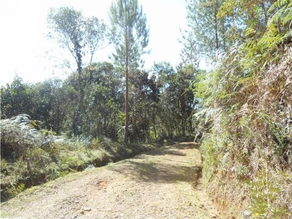 Lote en Venta en Guarne - Vereda La Quiebra — foto 6