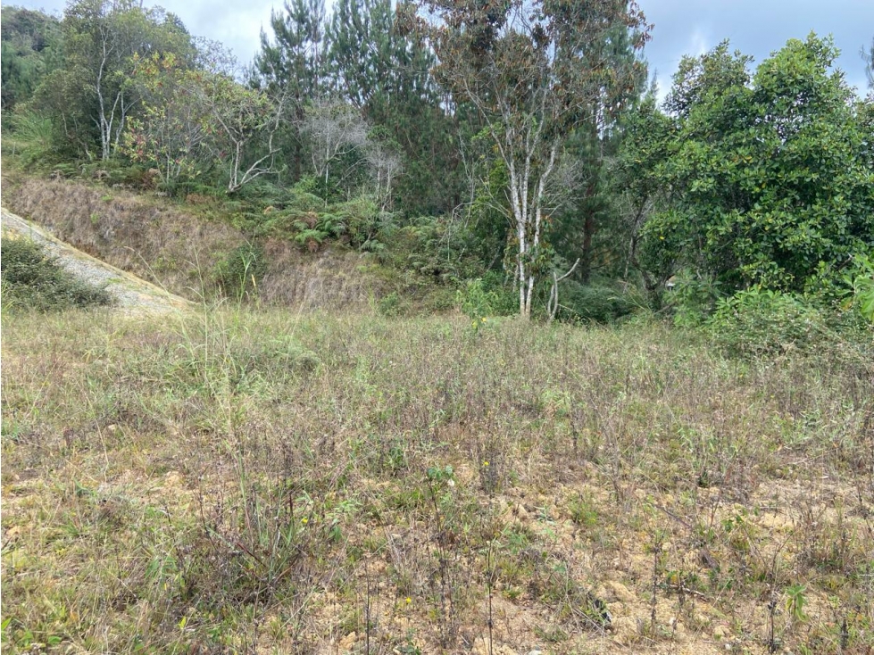 Lote en parcelación para Venta en Guarne - Rural — foto 3
