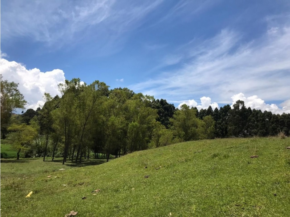 Lote industrial para Venta en Rionegro - El Tranvía — foto 6