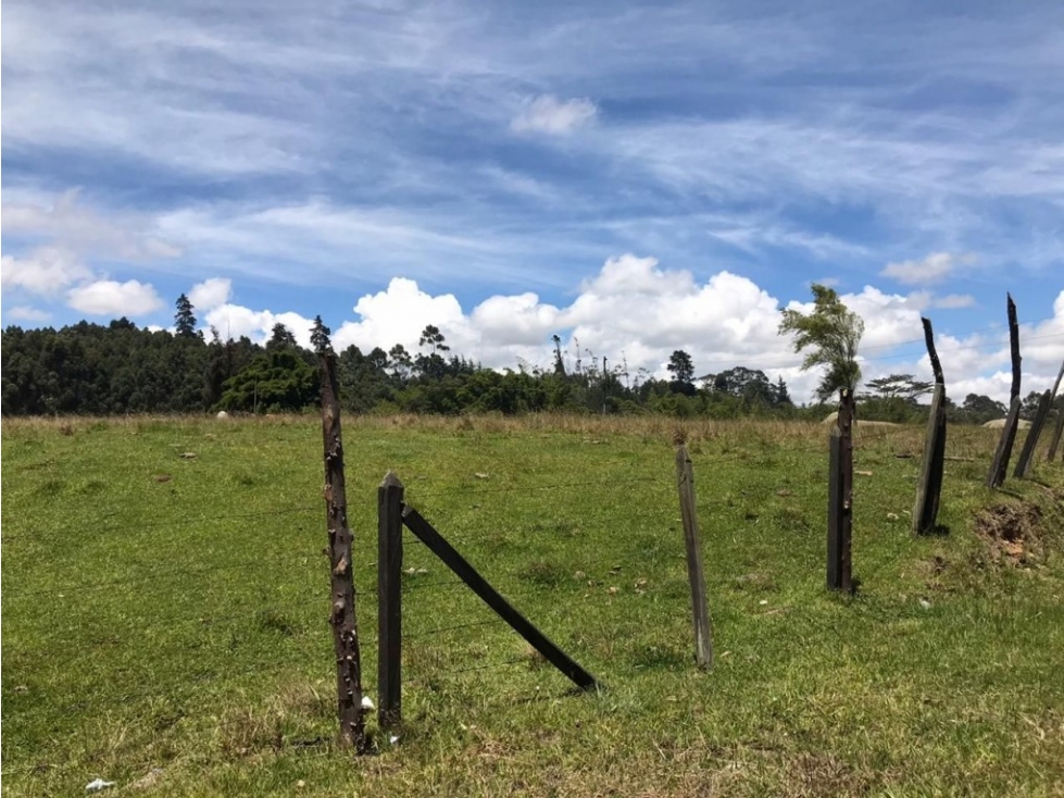 Lote industrial para Venta en Marinilla - El Tranvía — foto 6
