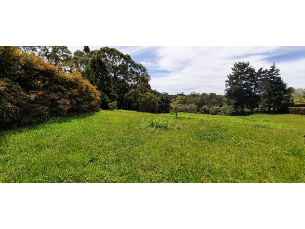 Lote en Venta en El Carmen de Viboral - Rural — foto 6