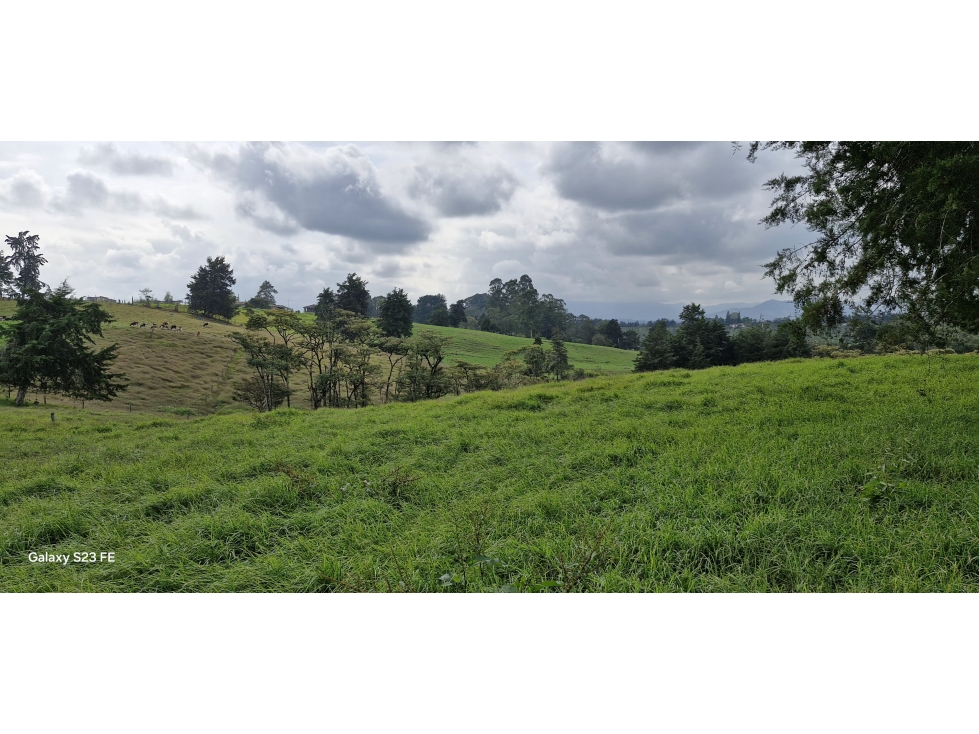 Lote para venta en Rionegro - Aeropuerto — foto 5