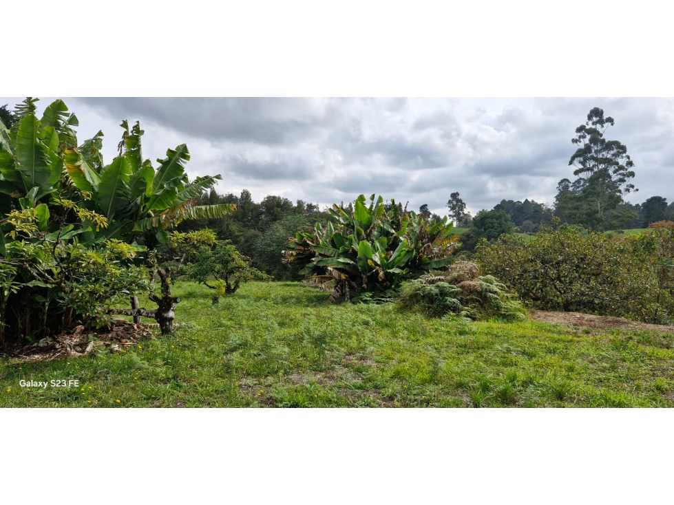 Lote para venta en Rionegro - Aeropuerto — foto 4