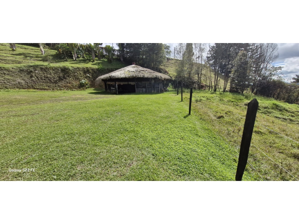 Lote con finca para venta en Rionegro - Rancherías — foto 6