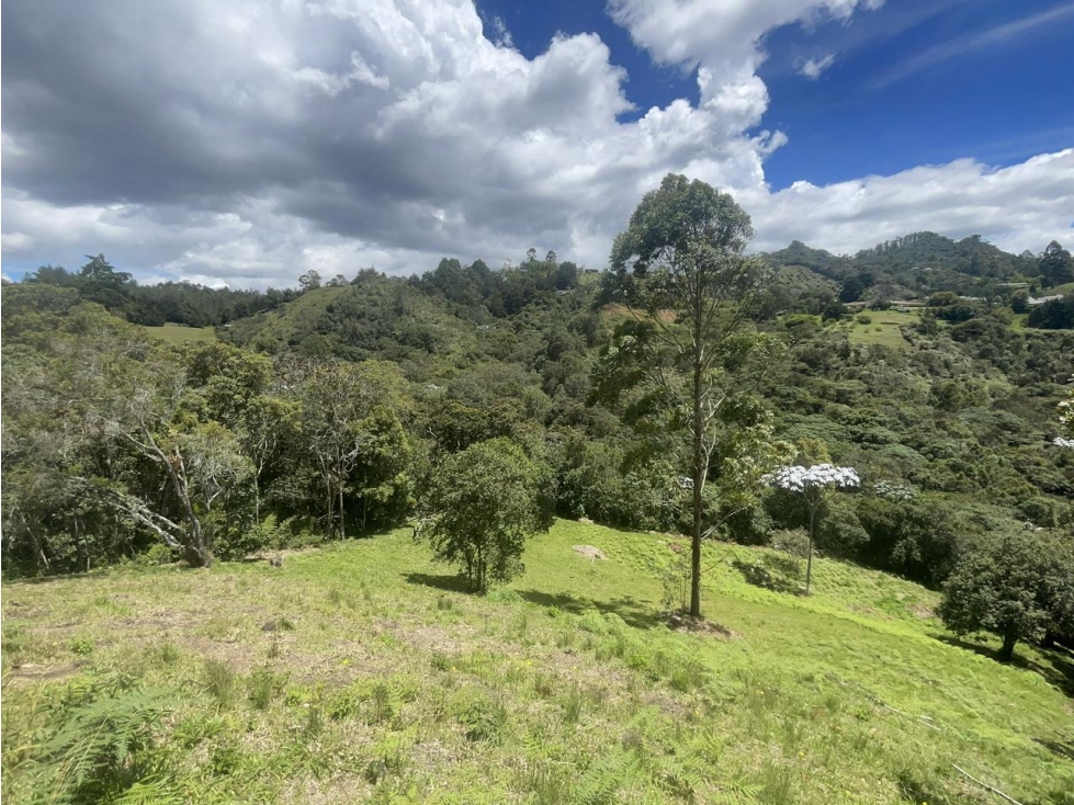 Lote para venta en Rionegro - Higueron