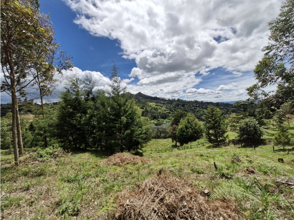 Lote para venta en Rionegro - Higueron