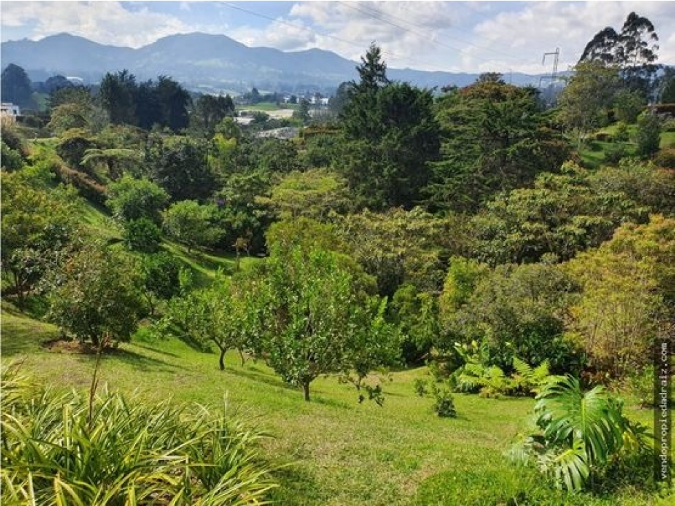 Lote en parcelación para venta en la ceja