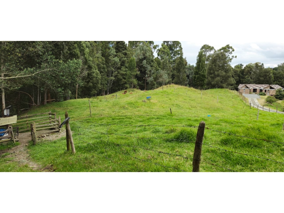 Lote en parcelación para venta en Envigado — foto 6