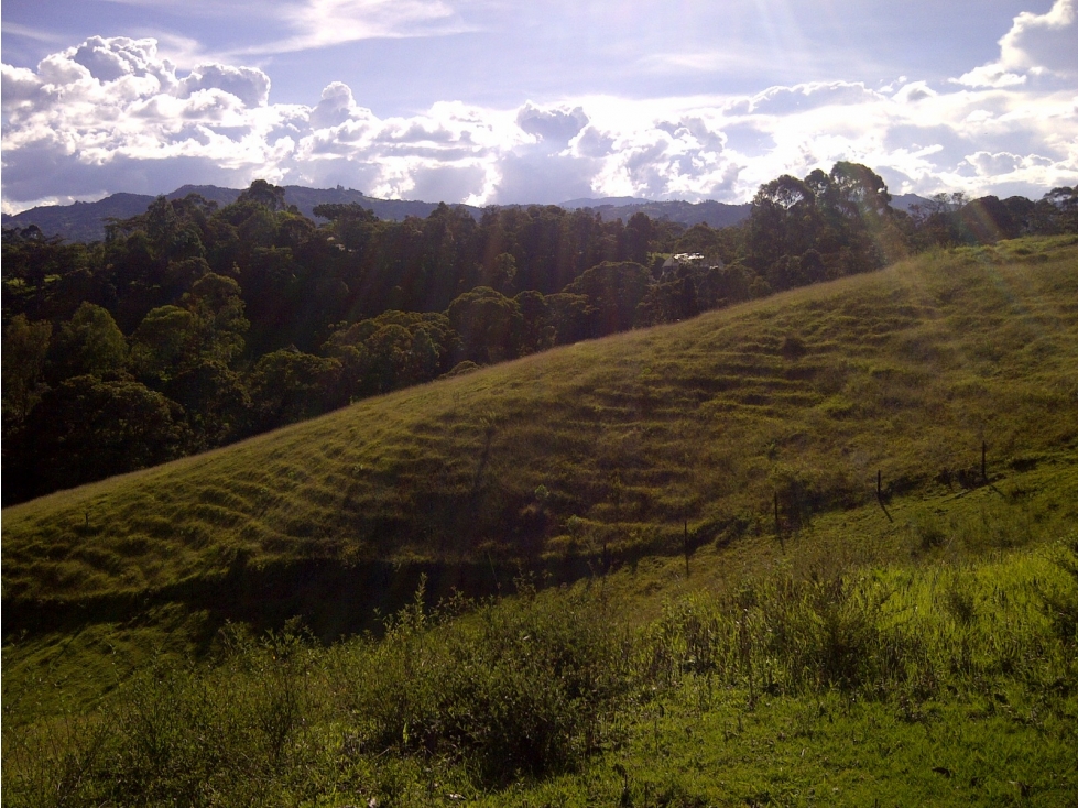 Lote para desarrollo para venta en Rionegro - Sector Vilachuaga — foto 6