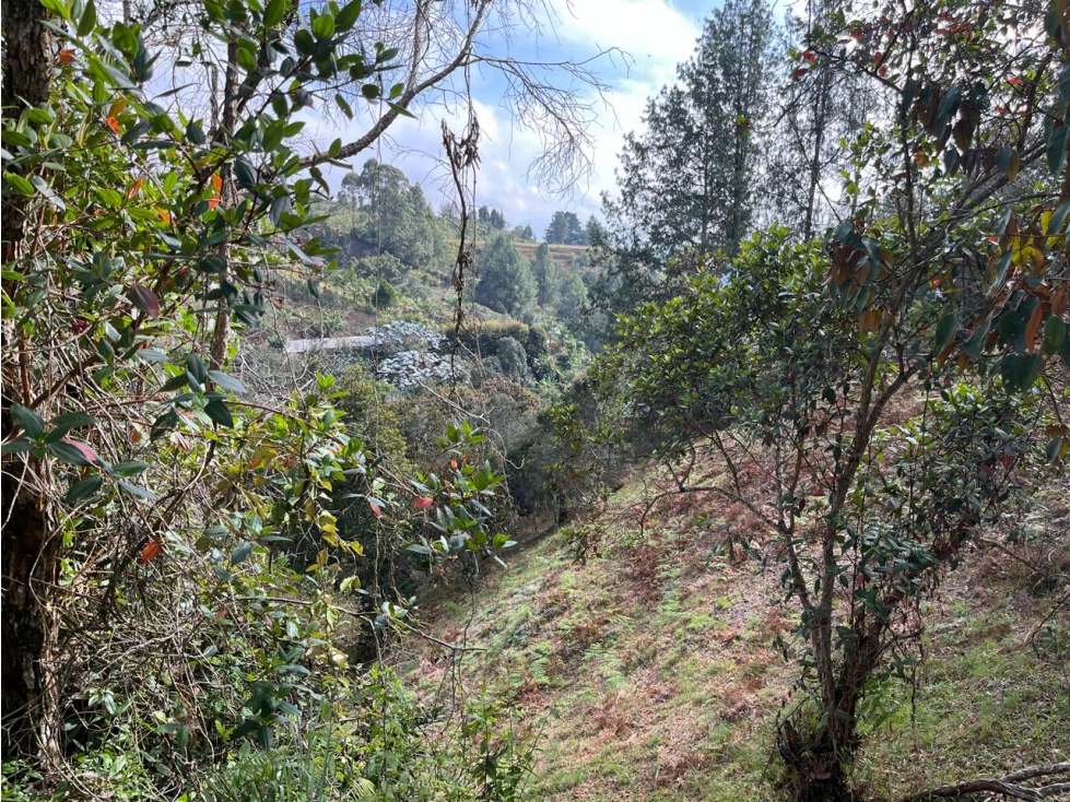 Lote independiente para venta en Rionegro — foto 5