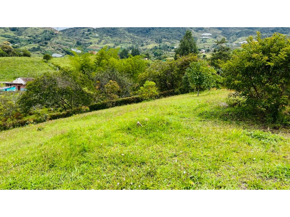 Lote Independiente para venta en Guatapé — foto 6