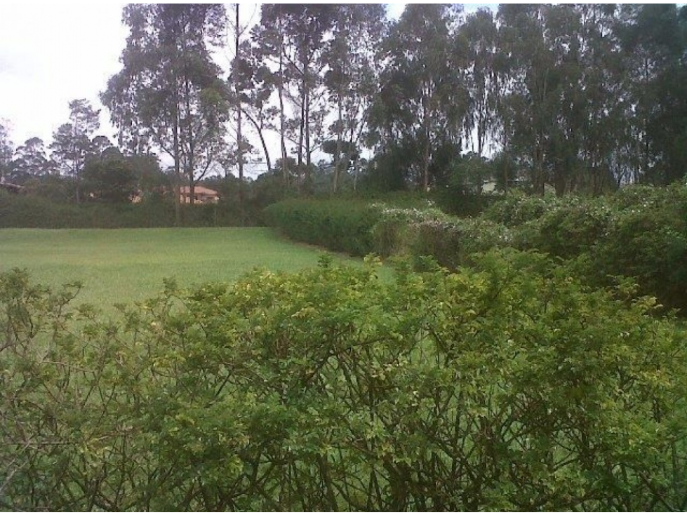 Lote en parcelación para Venta en Rionegro - Rural — foto 4