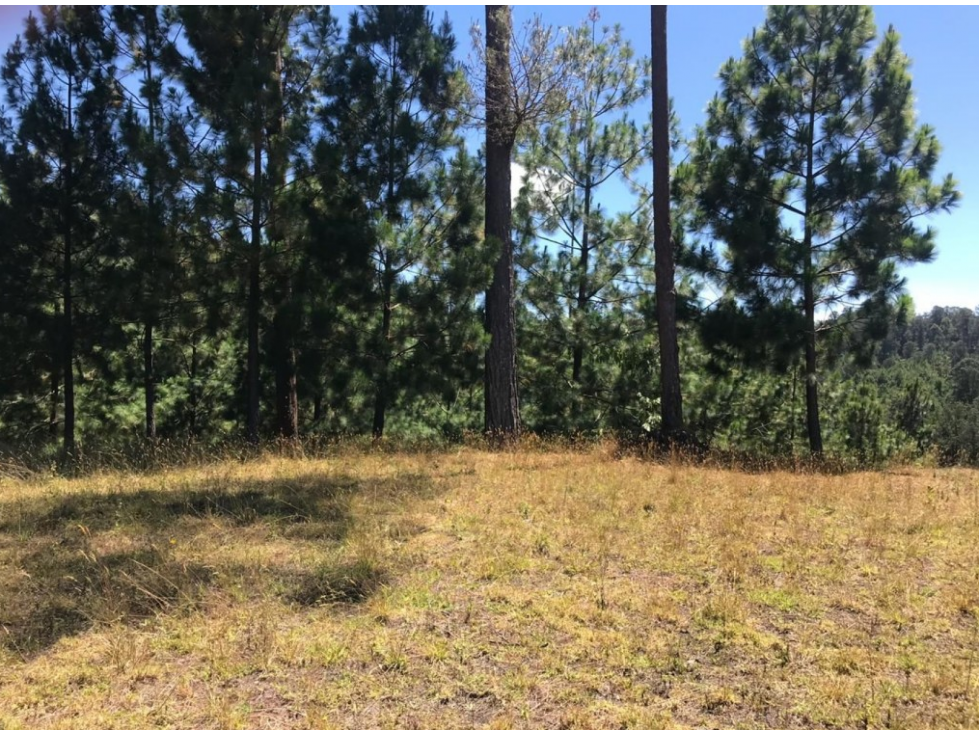 Lote en parcelación para Venta en El Retiro - Rural — foto 3