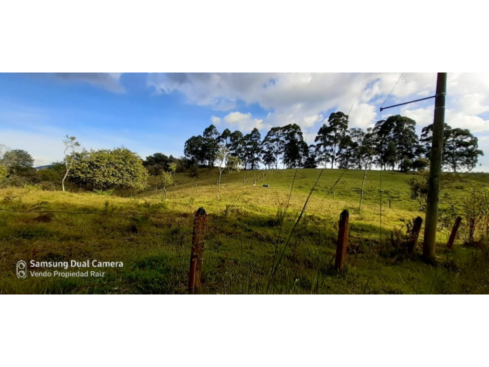 Lote en Venta en Rionegro - Cabeceras