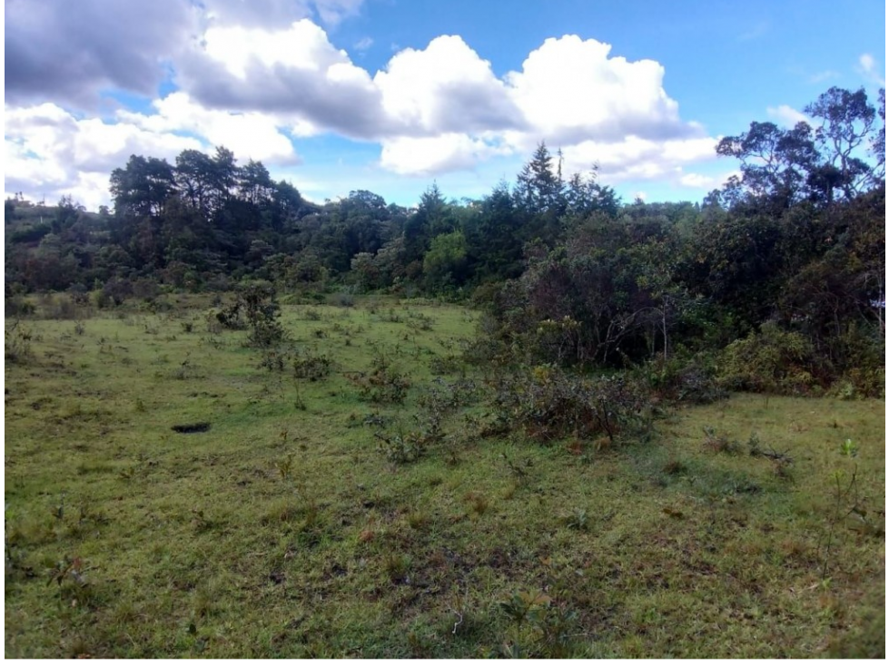 Lote en Venta en Rionegro - Ranchería