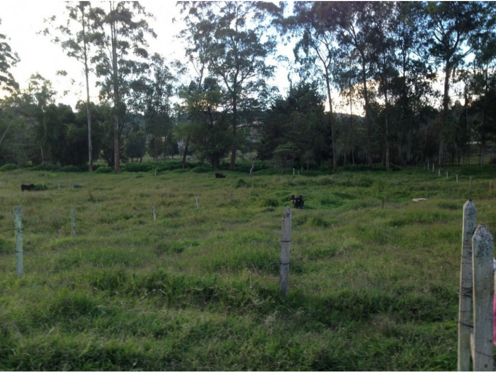 Lote industrial para Venta en Guarne - Rural — foto 2