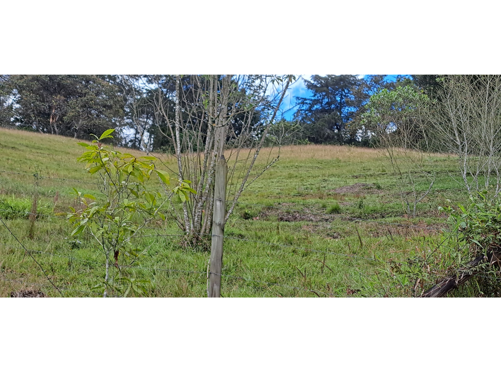 Lote Independiente para venta en Rionegro - Rural