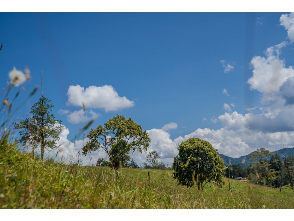 Lote en parcelación para Venta en El Retiro - Rural — foto 5