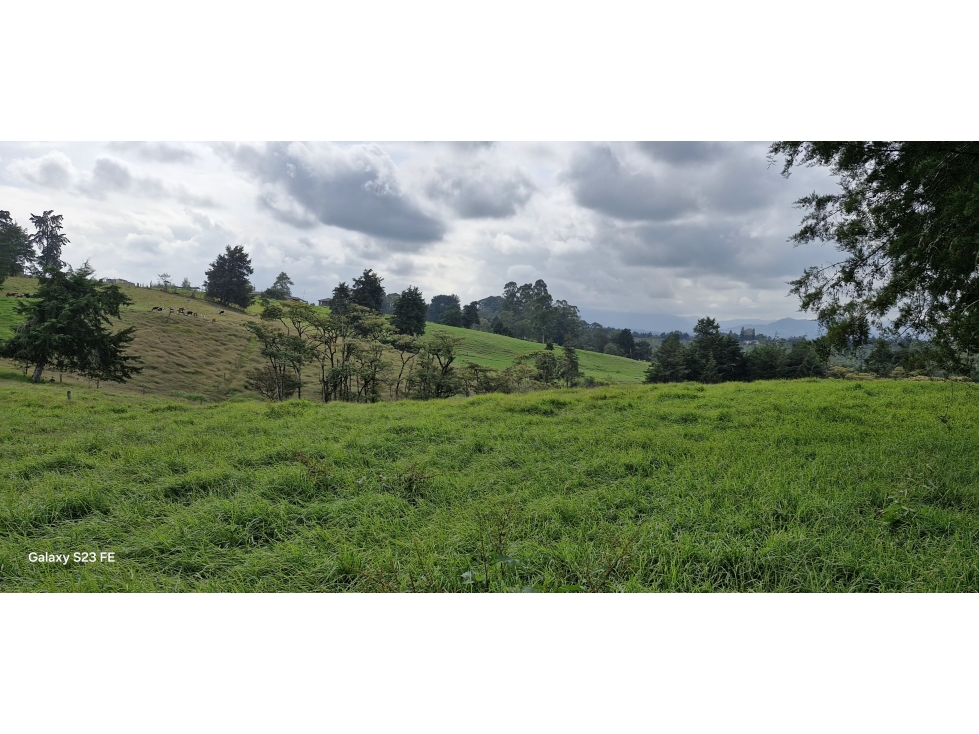 Lote para venta en Rionegro - Aeropuerto — foto 6