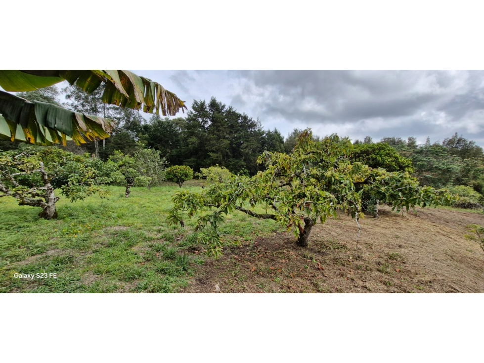 Lote para venta en Rionegro - Aeropuerto — foto 5