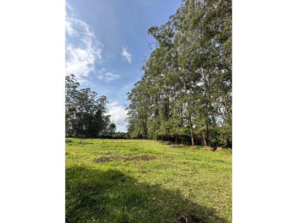 Lote Independiente para venta en Rionegro - Rural — foto 5