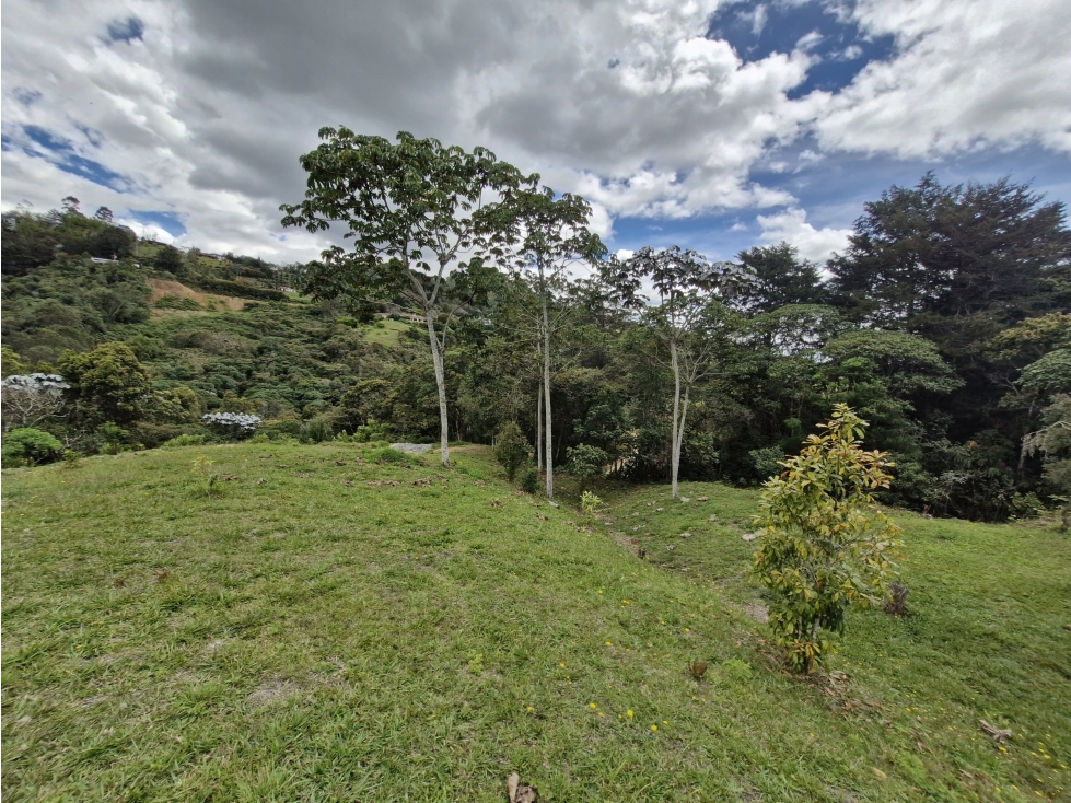 Lote para venta en Rionegro - Higueron