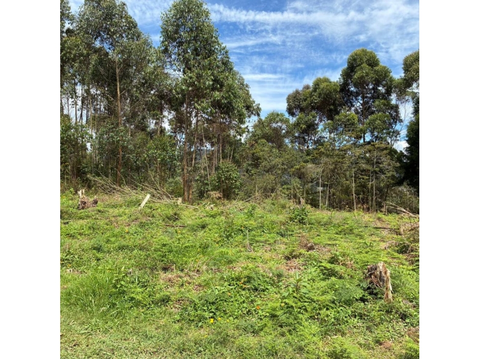 Lote independiente para venta en Rionegro — foto 3