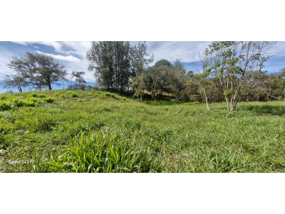 Lote en parcelación para venta en El Carmen de Viboral — foto 6