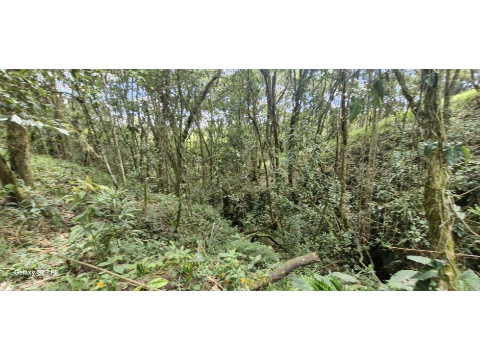 Lote Independiente para venta En Rionegro — foto 6