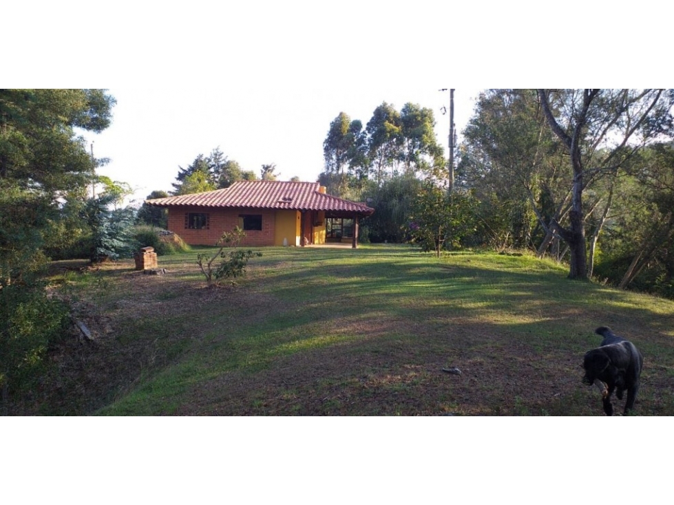 Finca en Venta en Rionegro - La Convención