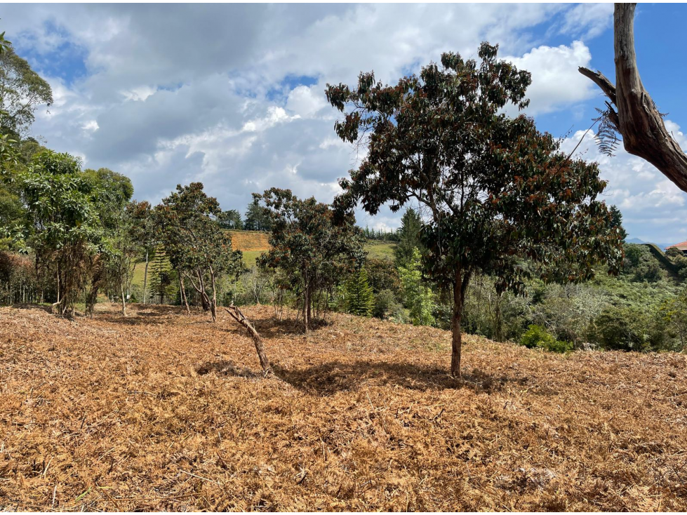 Lote en parcelación para Venta en Rionegro - Rural — foto 2