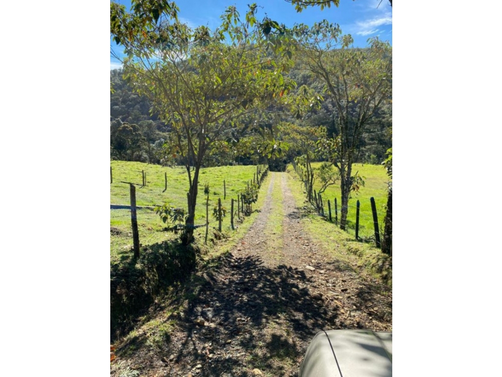 Lote en Venta en Guarne - La Honda — foto 6