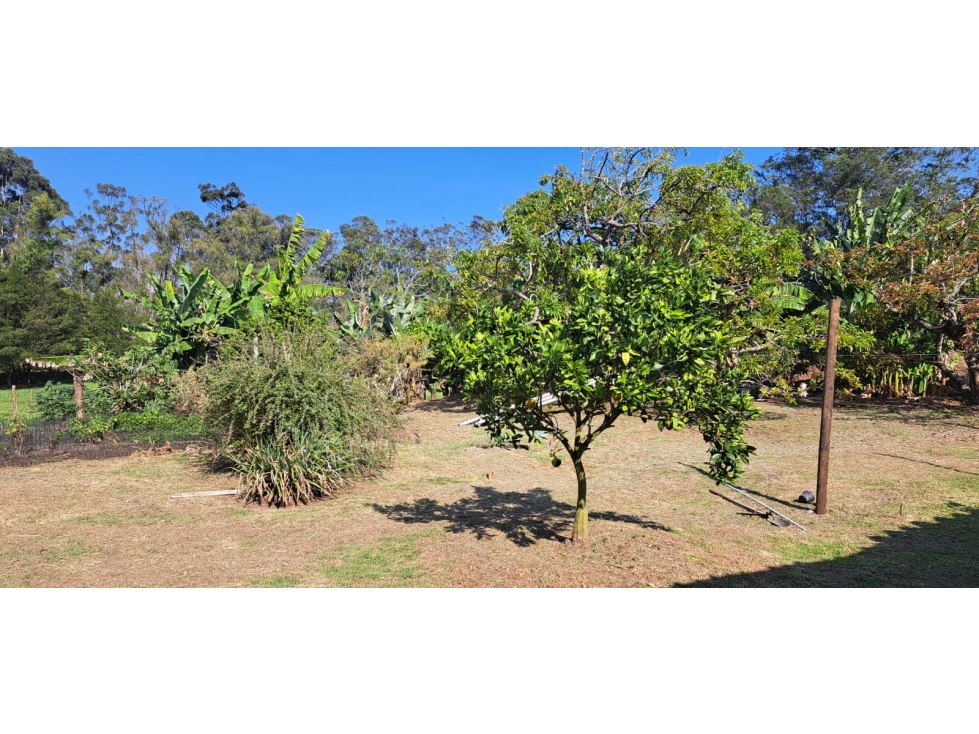 Lote en parcelación para Venta en Rionegro - Rural — foto 2