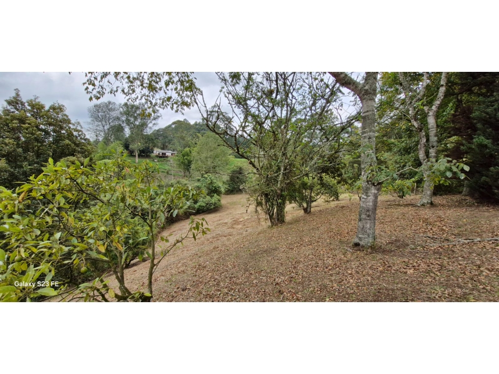 Lote para venta en Rionegro - Aeropuerto — foto 6