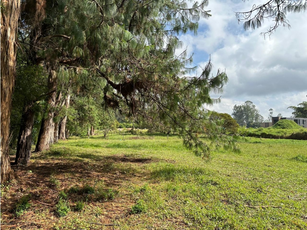 Lote Independiente para venta en Rionegro - Rural — foto 6